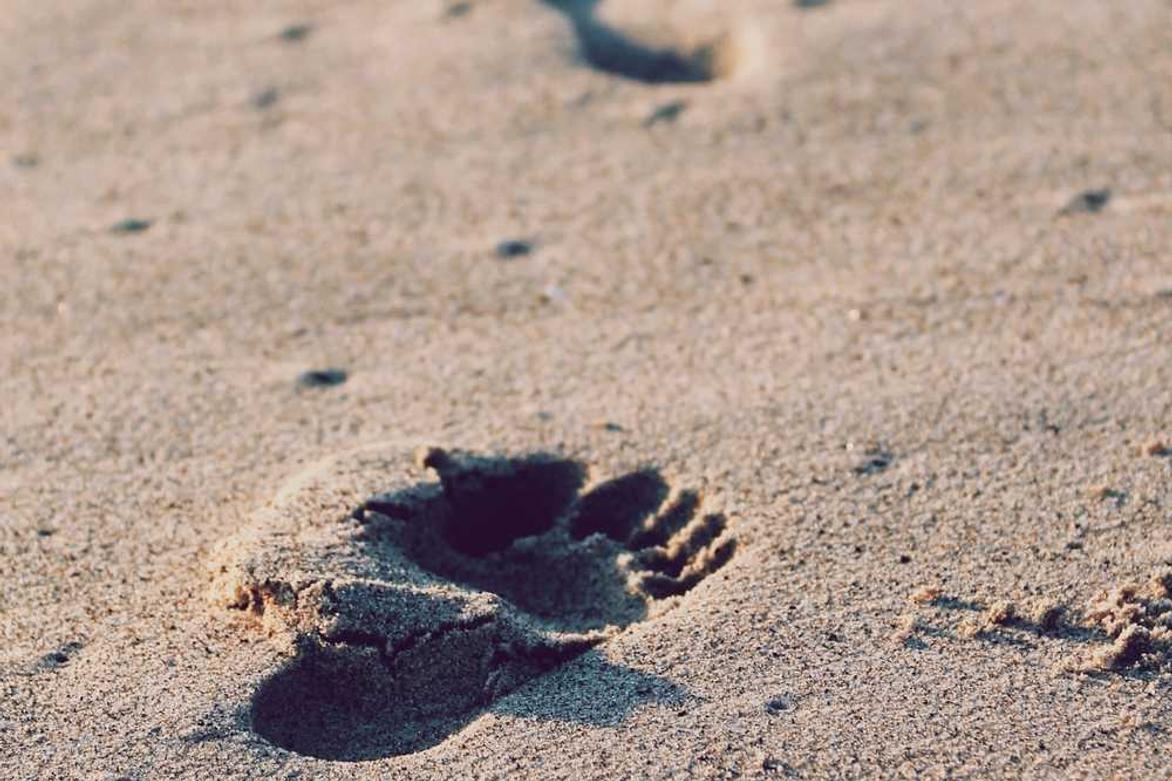 Qui dolorem incidunt expedita repellat adipisci sit rerum